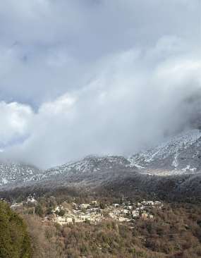 6326D449-EFBD-471D-BDCB-C5A8B5DDF1D3