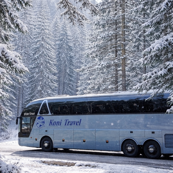 A3BE07AA-220C-420D-8CB5-C9A1330AB45E